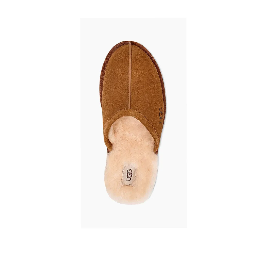 UGG Men's Scuff in Chestnut